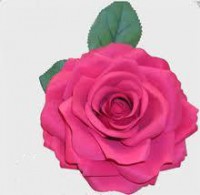 flor 05